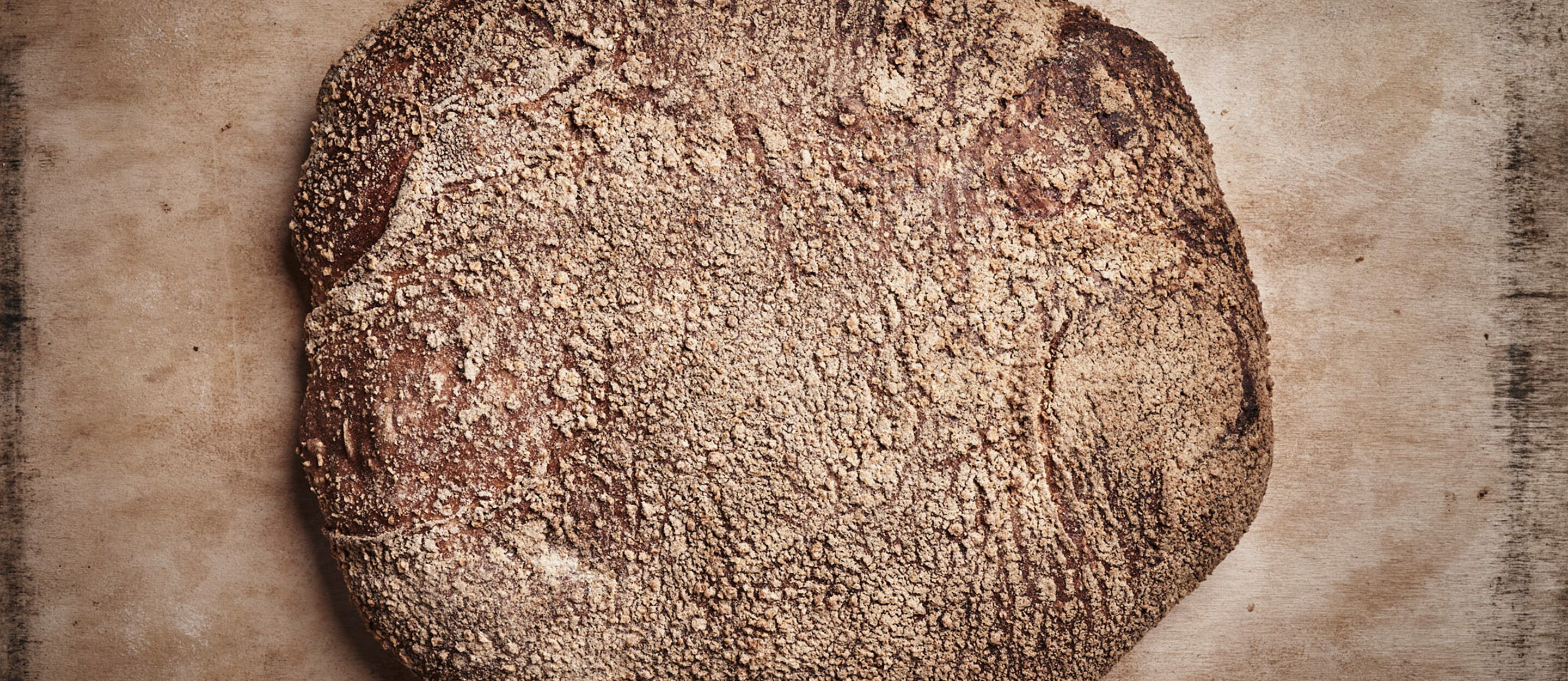 Dinkel-bully-muehlen-baecker-heide-01